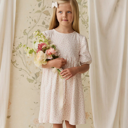 Rosie Dress Victoria Blush | Jamie Kay