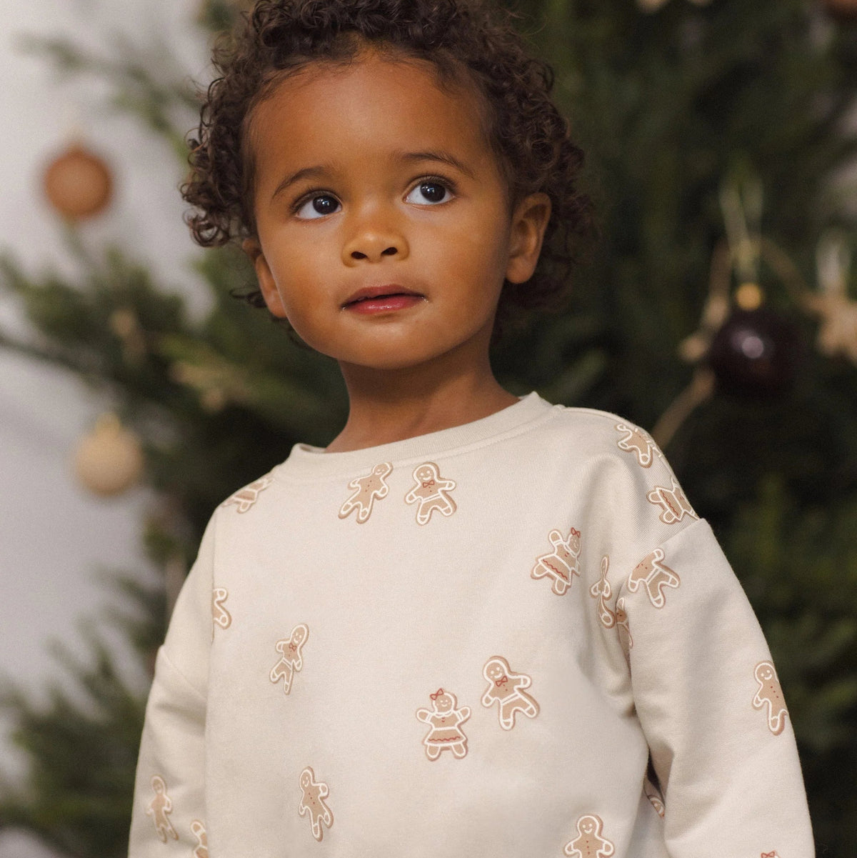 Gingerbread Sweatshirt | Quincy Mae