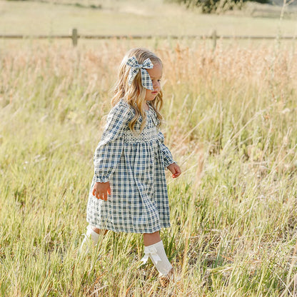 Blue Plaid Ruffle Collar Dress  | Mebie