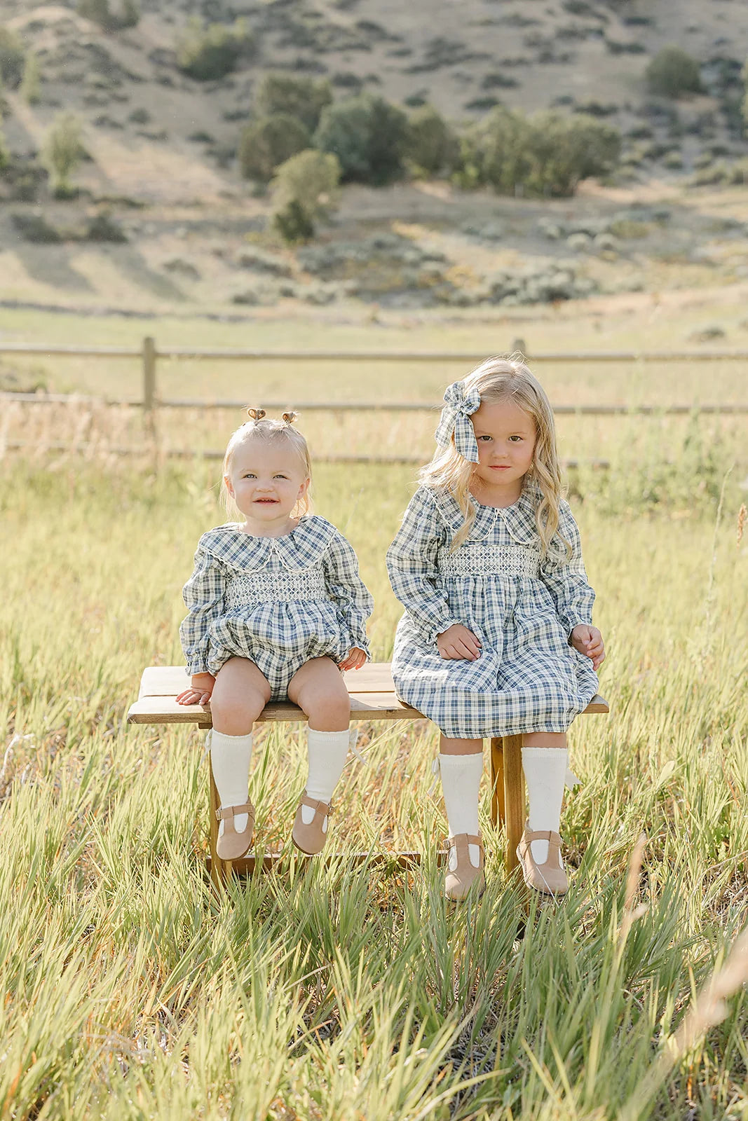 Blue Plaid Ruffle Collar Dress  | Mebie