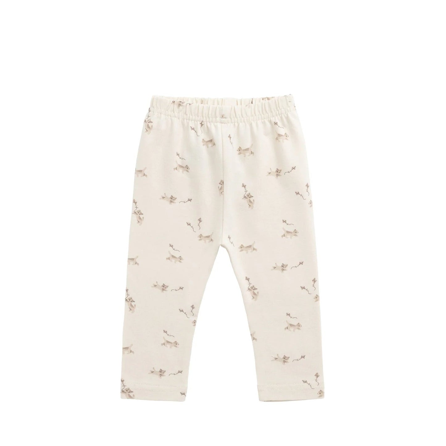 Kitten Legging and His Kites 3Y | Jamie Kay