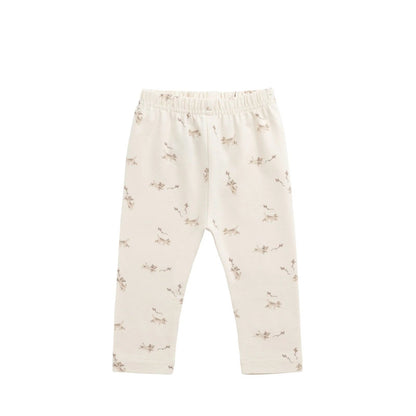 Kitten Legging and His Kites 3Y | Jamie Kay