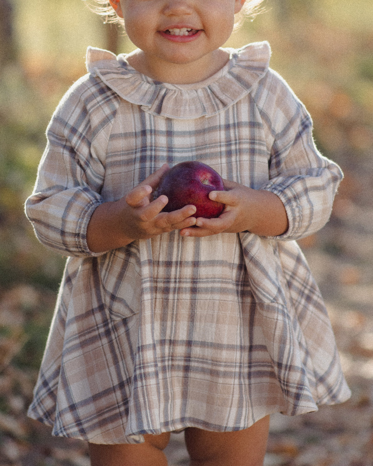 Simone Dress Fall Plaidl | Quincy Mae